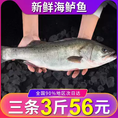 Fresh sea bass Flower perch Sea fish seafood Aquatic frozen seven star perch 450g-550g pieces*3 pieces