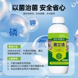 Растения бактерии, прозрачная пищевая жидкость, домашняя садовая микробиоплазма, антибактериальные цветочные удобрения