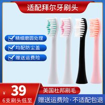 Adapt to bair Bayer Bayer Tooth Teez Electric Toothbrush Head X1 X5 X9 G1 G3 Replacement Head Universal