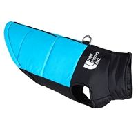 Морда собаки синяя (на тяге, на поводке)