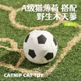 Кошки тоже любят играть в баскетбол !!