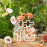 Книга Китая Национального географического музея цветы и книга эскизов Дополнение