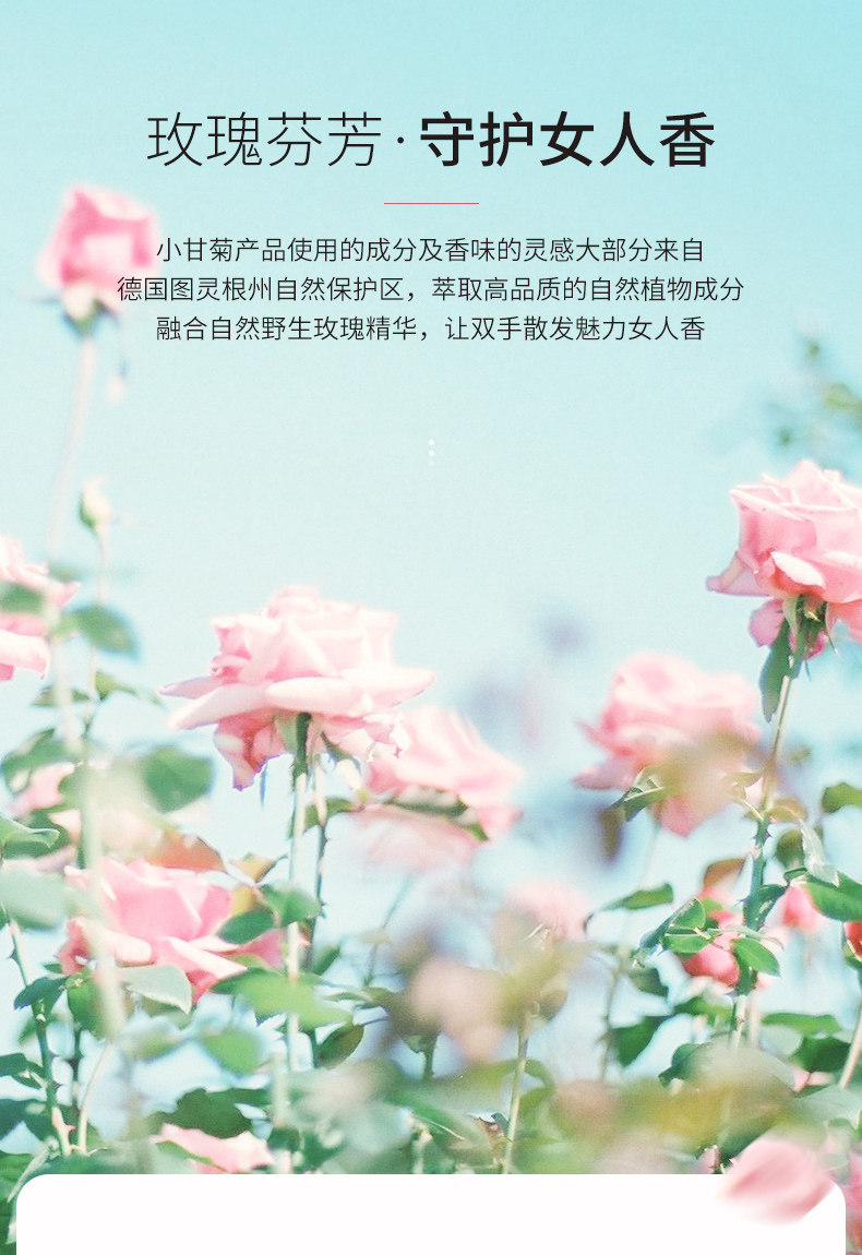 德国进口  herbacin 贺本清小甘菊 经典/玫瑰/特润护手霜 75ml*3件 图3