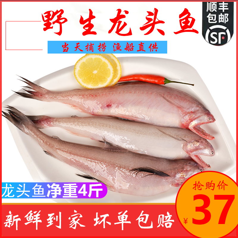 4 catty hydrants Fresh frozen wild nine bellied fish water Curd Fish Silk Gardener Nose Fish Cisrich