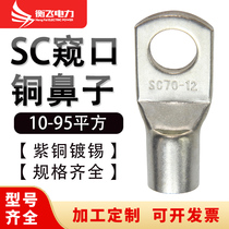 SC10 16 25 25 35 50 70 95 Pledge cold pressed copper nose terminal terminal line with tin galvanized short