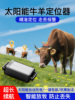 Cow and Sheep Tracking Device Gps Locator for Mountain Grazing, Satellite Positioning, Animal Anti-Loss Tracking Instrument