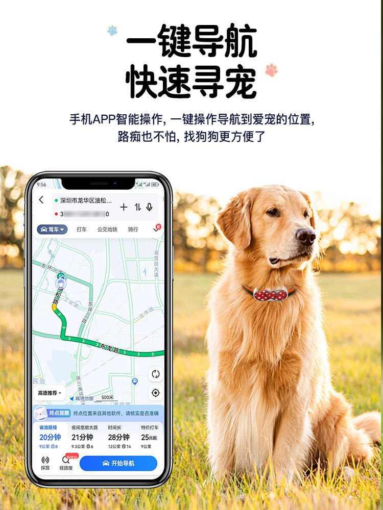 Dog Locator Pet Gps Collar Anti-Lost Tracking Device Cat Waterproof Tracking and Positioning Device