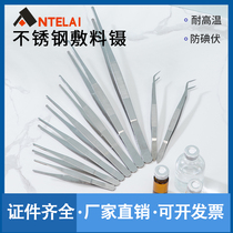 Stainless Steel Clinic Tweezers Elbow Fine Round Head Tweezers Medical Dressings Clamp Surgery Drug Change Tools Medical Small Tweezers