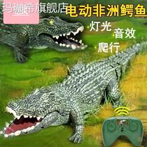 Crocodile toy electric can walk remote control super large crawling plastic simulation animal boy children big crocodile model