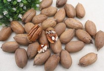 New original raw pecans 500g in bulk cream longevity fruit pecans baked nuts 5kg whole box 10kg