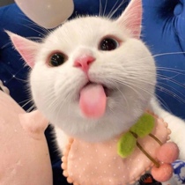 9 18 21:00 new products in the store portal pull down to view the details