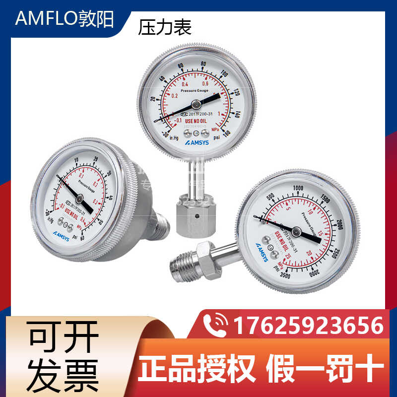 1/4VCR压力表减压阀用高纯气体压力表EP级高纯压力表替代进口真空