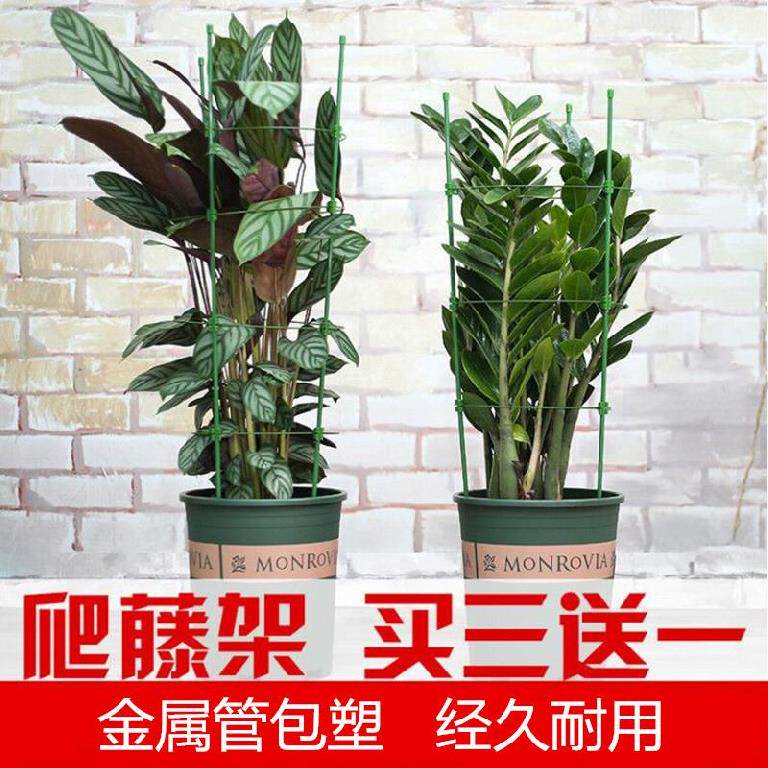 Flower stand for flower pots climbing rattan rose flower small indoor flower support rod stereotyped support tomato round