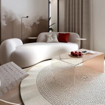 Light luxury lamb velvet fabric sofa modern simple curved small house reception office beauty salon designer