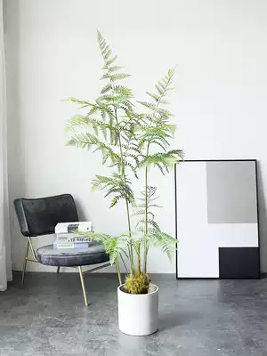 Correct version of monkey head fern golden silk simulation fake tree houseplant large potted living room decoration bionic green plant