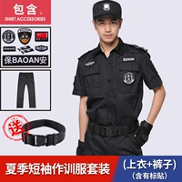 Летний короткий топ+брюки+логотип [ремень доставки]