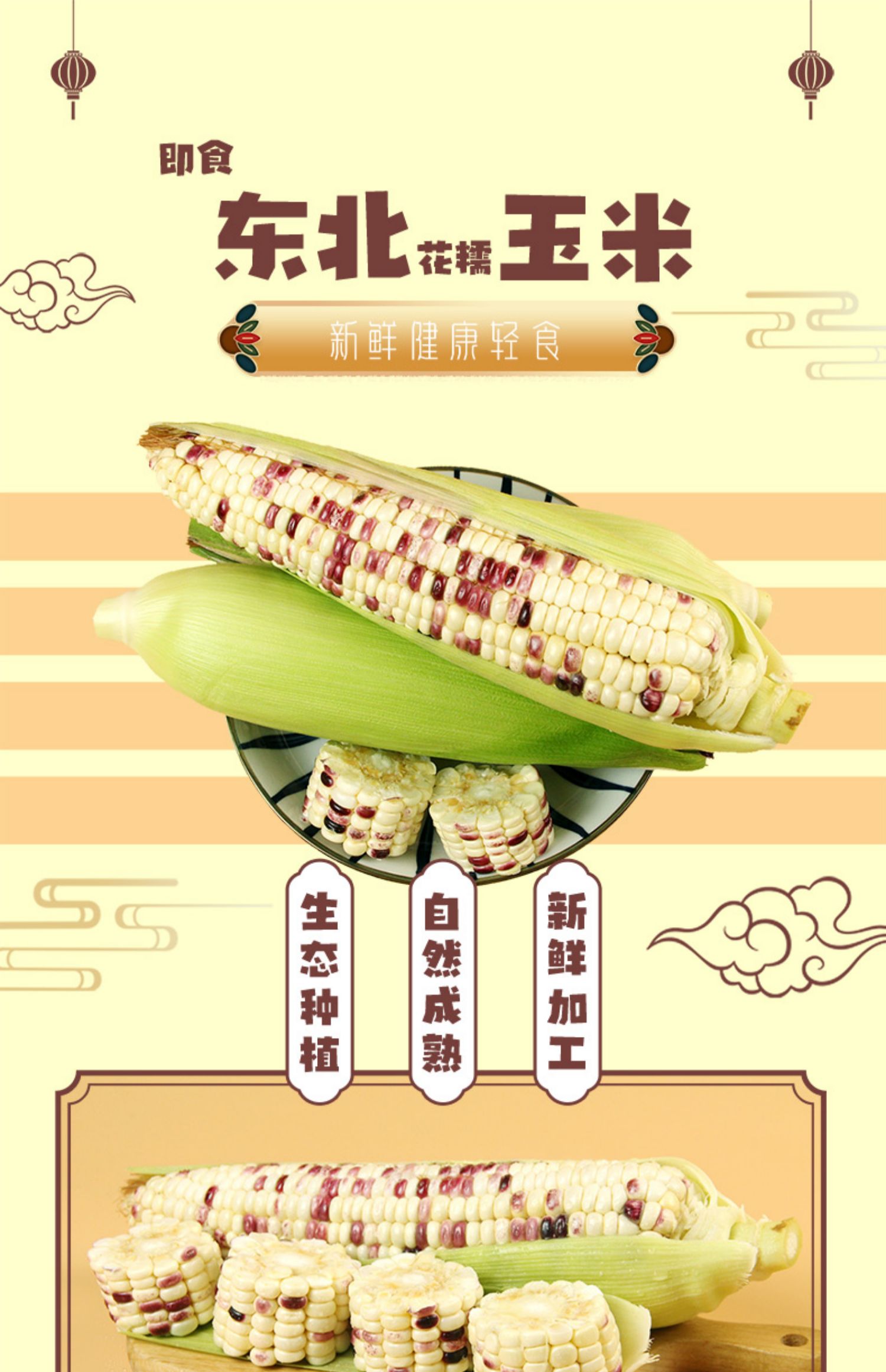 【园侬鲜】东北即食新鲜花玉米2400g