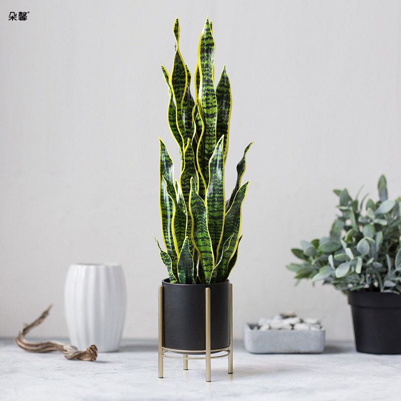Doxin Emulation Bionic Plant Phnom Penh Tiger Pilan Potted Green Planting Living Room Indoor Genguan Floor Decoration Pendulum