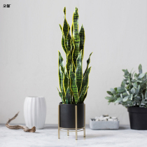 Doxin simulation bionic plant Phnom Penh Tiger Pilan potted green living room indoor porch floor decoration ornaments