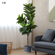 Duoxin simulation plant potted living room fake tree green leaf King Kong potted large floor green plant interior decoration ornaments