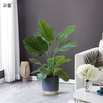 Duoxin Nordic indoor simulation plant watermelon leaves small potted plants living room sofa floor fake green plant decoration