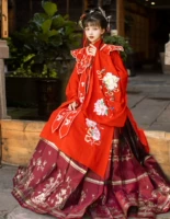 Платье с воротником-стойкой + красная юбка с конским лицом + облачные плечи