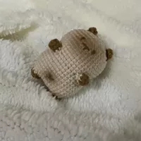 Сиамский кот бежевый (отправка инструментов для учебных пособий)