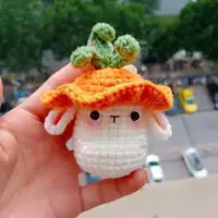 Mini Radish Hat Rabbit (отправка инструментов и отправка учебных пособий)