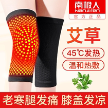 Wormwood self-heating knee pads keep warm old and cold legs Elderly mutual paint joint hot compress summer thin physiotherapy artifact