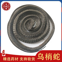 Chinese Herbal Medicine Urtip Snake No Sulphur Usnake Dry Complete Package Inspection Edible Farm Produce 500 gr Pable Powder