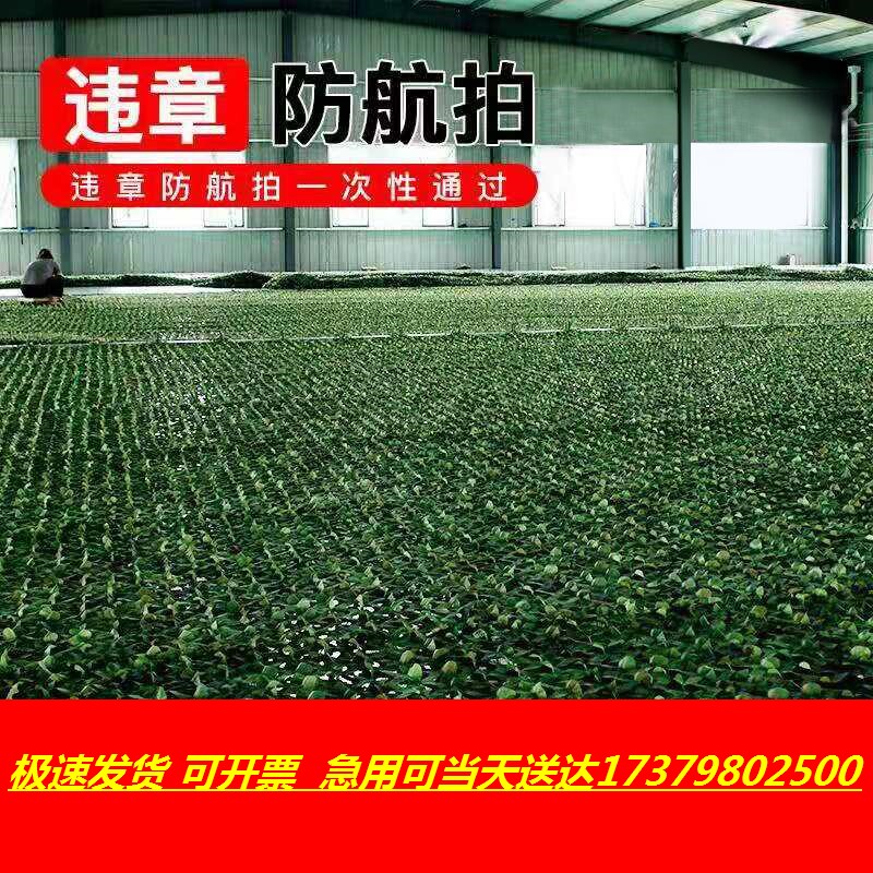 Anti-satellite aerial photography green net camouflage net outdoor shading net greening anti-counterfeiting net sunscreen shading net double encryption