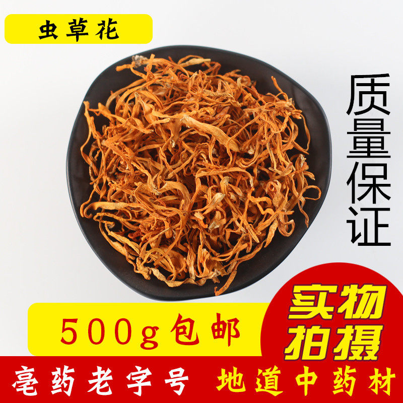 New Cargo Caterpillar Fungus North Caterpillar Fungus Natural Golden Caterpillar Fungus 500 gr Dry Cargo Spore Head Pupa Caterpillar Soup Ingredients