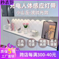 充电人体感应灯带无线自粘酒柜餐边柜玄关展示柜led灯免布线灯条