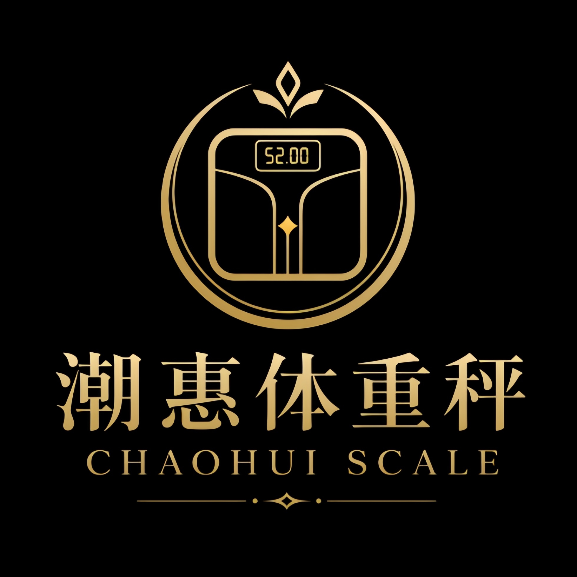 潮惠体重秤工厂