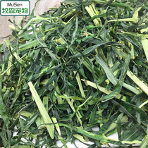 Roasting the large wheat straw section 250g bags of wheat grass wheat miao rabbit dried grass dragon cat staple grain pasture grass