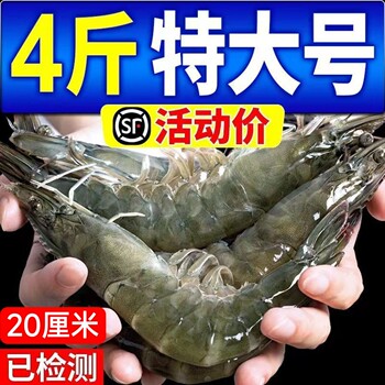 The extra-large qingdao prawns are fresh and have many repeat customers.