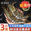 Black tiger shrimp, fresh, large, quick-frozen tiger shrimp