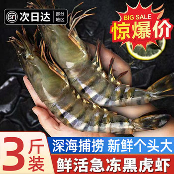 Black tiger shrimp, fresh, large, quick-frozen tiger shrimp