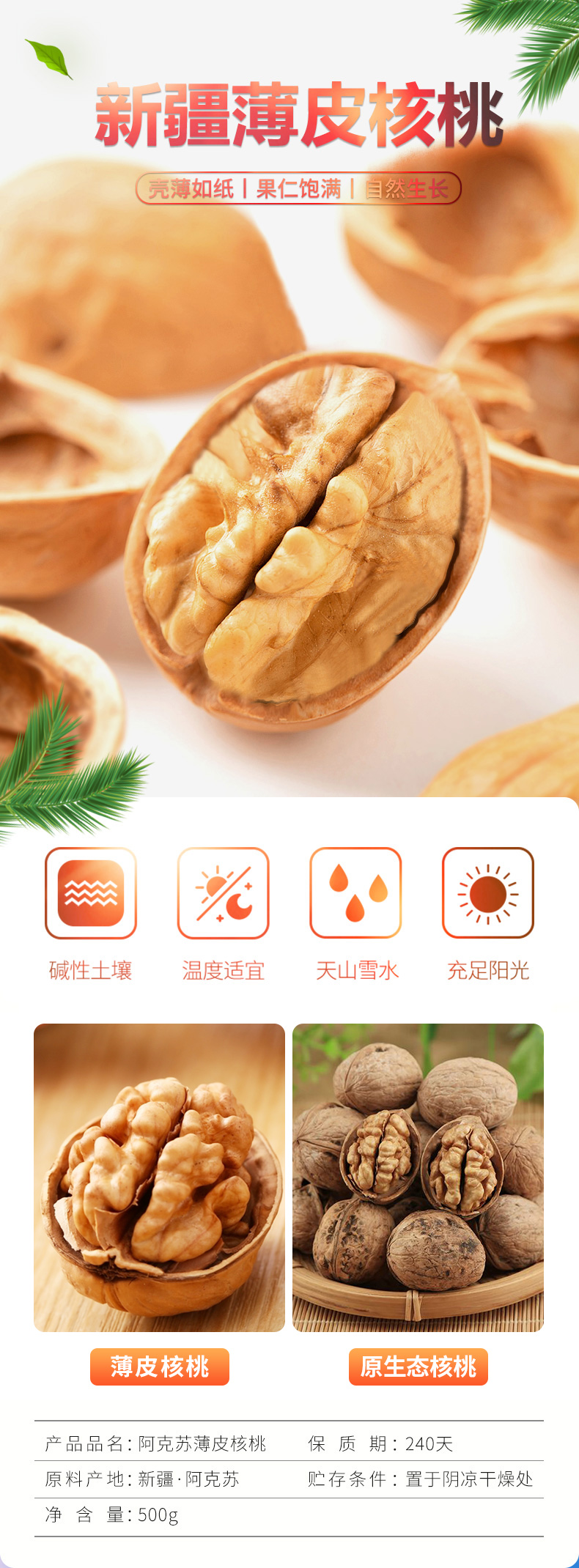 Gul Bag/古力巴戈 新疆纸皮核桃 3斤 图1