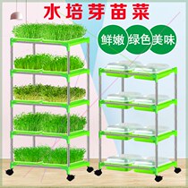 Aozu nature small sprouts planting set with plate shelf extended planting plate 9