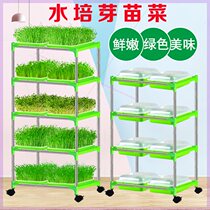 Aozu nature small sprouts planting set with plate shelf extended planting plate 7