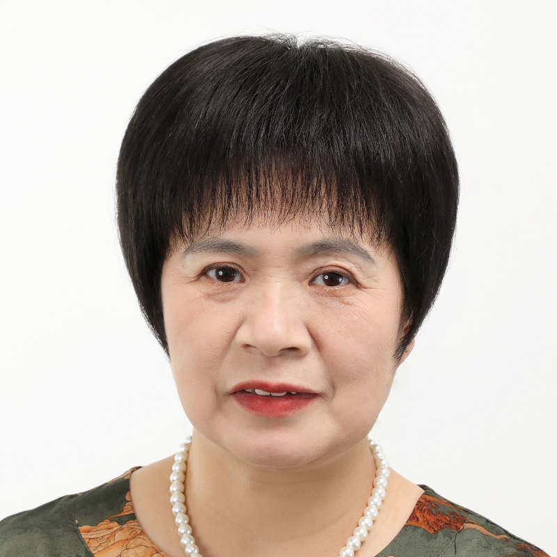 Wig for Middle-Aged and Elderly Women, Full Real Hair, Full Head Cover, Bald Elderly Women, Short Hair, 50 to 70 Years Old, Thin Full Head Real Hair Wig