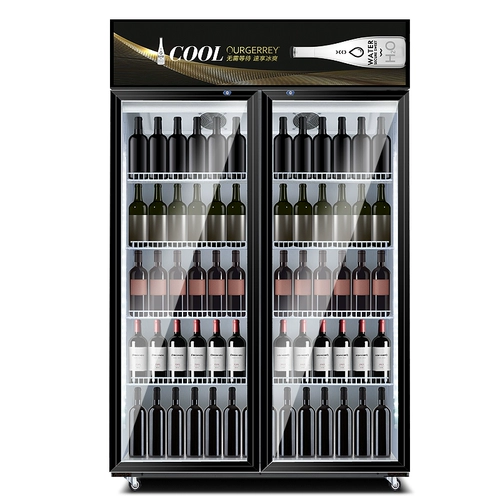 Огнильный холодильник Шкаф шкаф супермаркет холодильник, шкаф, коммерческий стенд -Опный двойной дверной дверь пивной шкаф свежий морозильник морозильник