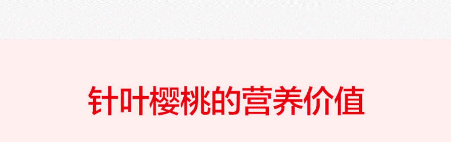养生堂天然VC维生素C90片+B族组合