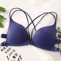 Павлин синий павлин синий