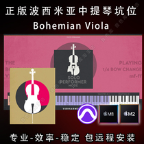 Bohemian Viola Genuine Bohemian Viola pit MAC