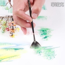 Fish tail brush fan brush wild pig bristle brush acrylic paint fan water chalk wall painting brush bottom brush watercolor pen