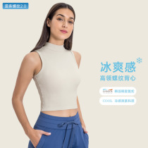 2024 vertical bars Rograin 2 0 new water cooling and cooling high collar yoga vest hygroscopic perspiration for waist shock resistance