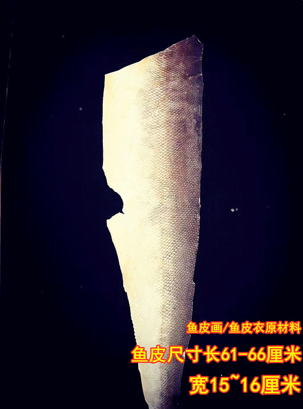 Sturgeon Fish Skin, Hezhi Ethnic Group Fish Skin Painting Raw Materials, DIY Fish Skin, Handmade Fish Leather, Clothing Design
