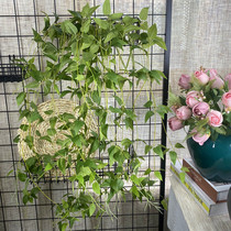 Uhan 4 Fork Hanging Money Leaves Fake Flowers Vines Hanging Wall Decoration Viliu Strips Green Leaf Vines Evergreen Vines Wedding Vines